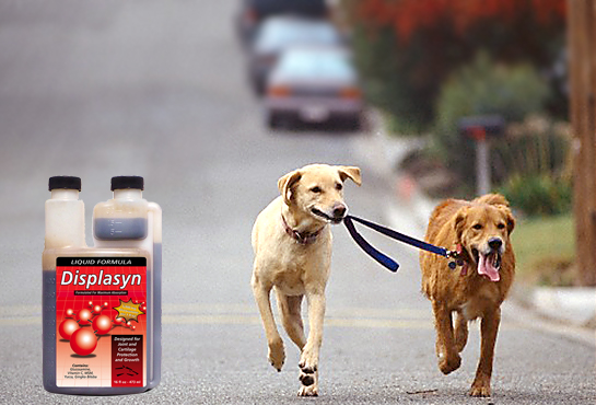 ActiDOG_Liquid_b_600x370_X WHATSAPP