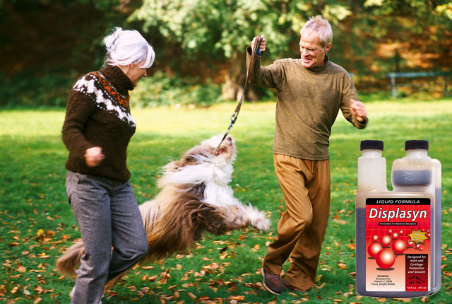 Senior couple going for a walk with dog