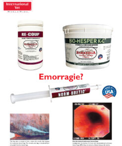 Alternative view of Norm-Uretic (30 g) - Diuretico naturale in pasta per cavalli