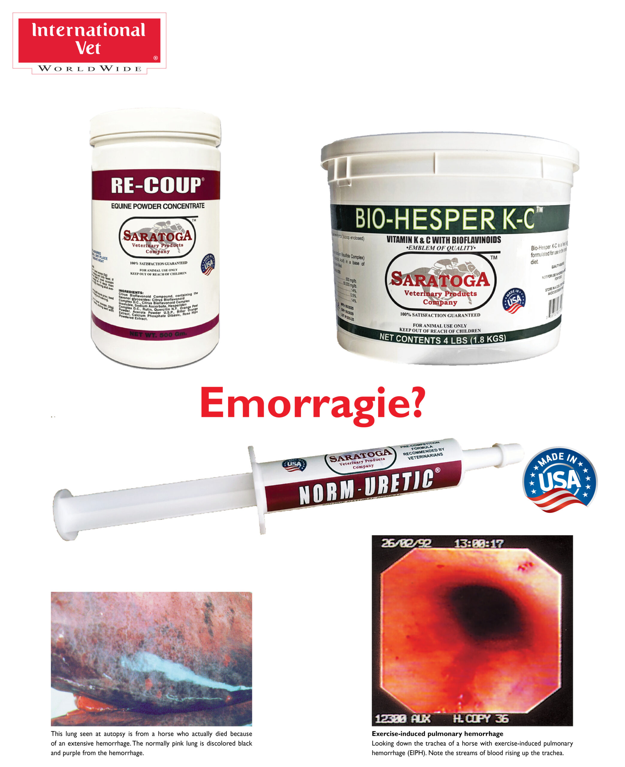 Norm-Uretic (30 g) - Diuretico naturale in pasta per cavalli - immagine 2