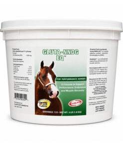 Gluta-NNDG EQ (1,8 kg) - Metabolismo energetico - Performance