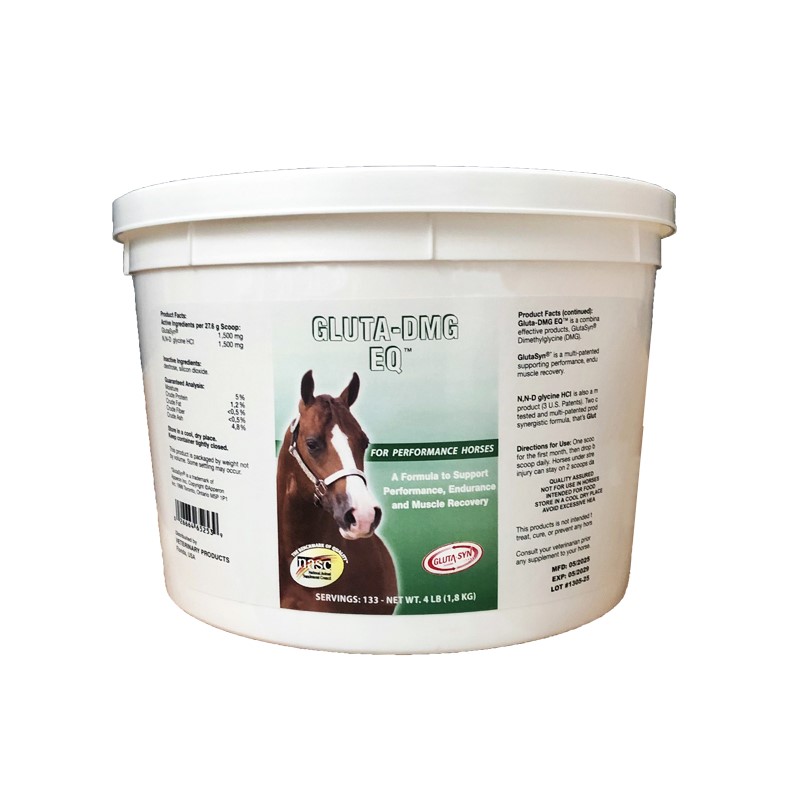 Gluta DMG EQ-HR-2025